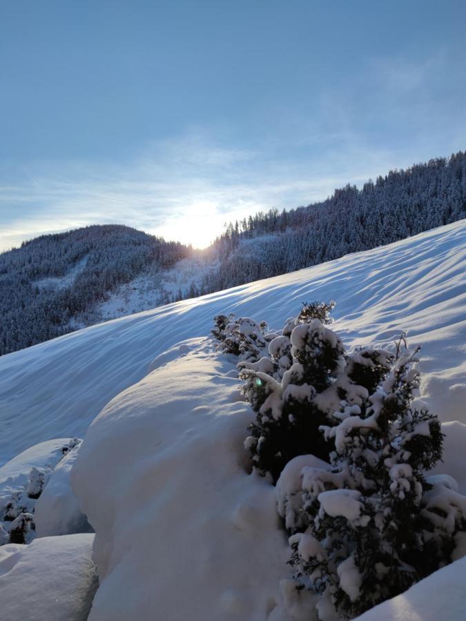 Batacoer - Natures Heartbeat San Vigilio Di Marebbe Luaran gambar